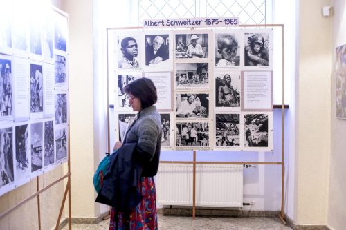 Author: Aleksandra Macewicz